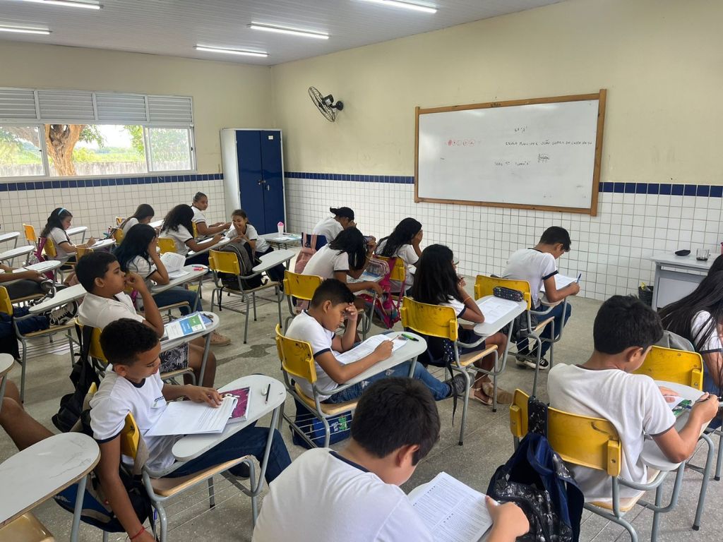 Como as plataformas educacionais digitais atuam no ensino público?